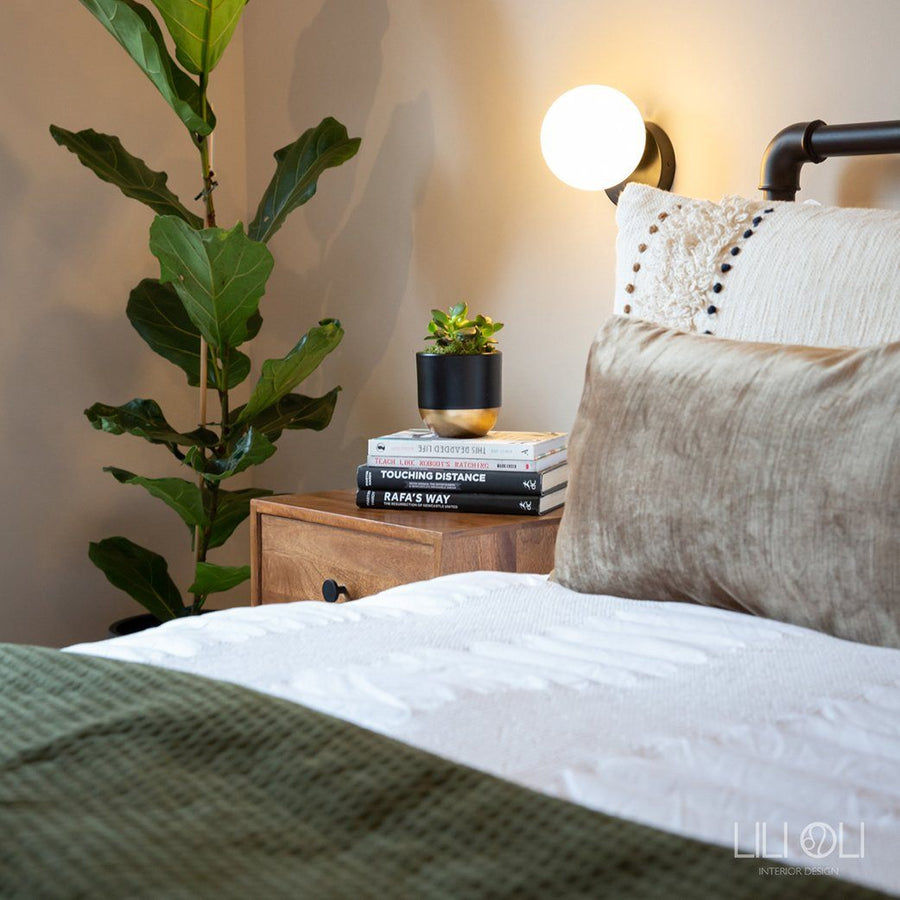 Lili Oli Ltd