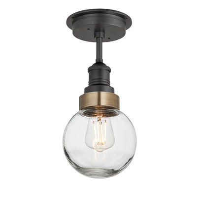 Pewter Holder with Brass Ring Brooklyn Outdoor & Bathroom Globe Semi Flush Mount BR-IP65-FM-PH-BR-GLG