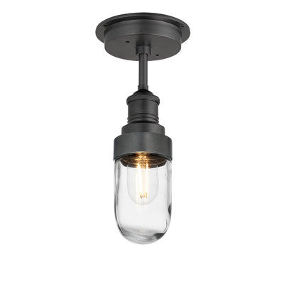 Brooklyn Outdoor & Bathroom Semi Flush Mount