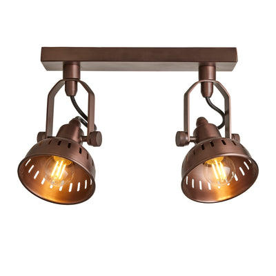 Swivel Bronze Double Spotlight Flush Mount
