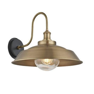 Brass Swan Neck Outdoor & Bathroom Step Wall Light in 16 Inch with Brass Holder and Globe Glass, Product Code is SN-IP65-SWL16-B-BH-GLG