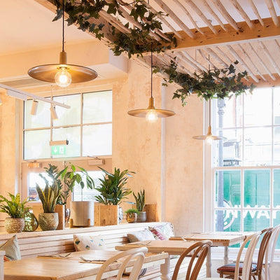 Brass Sleek Flat Pendant in 15 Inch with Brass Holder, Product Code is SL-FP15-B-BH