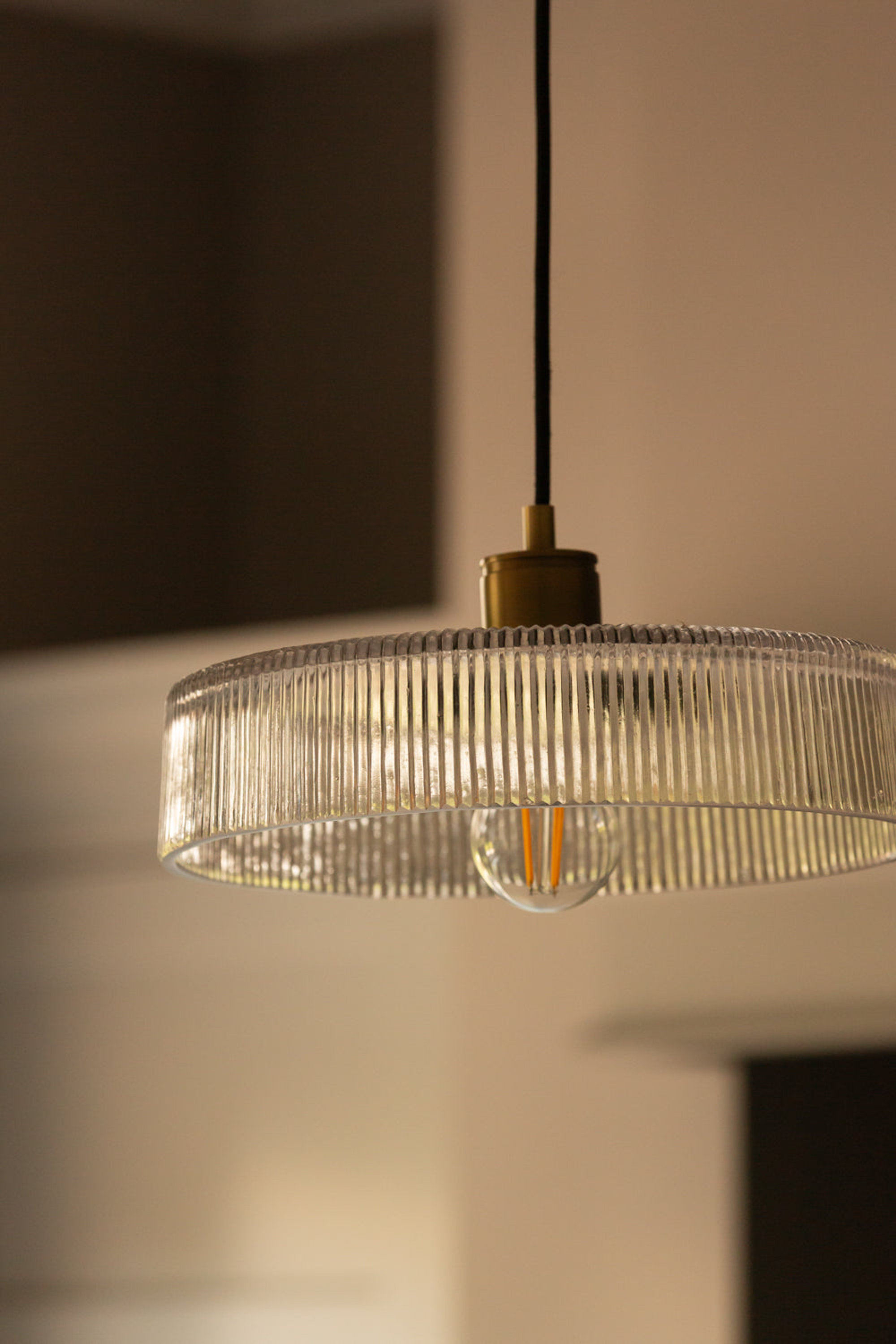 Albany Clear Glass Ribbed Dish Pendant Light in 12 Inch with Brass Holder