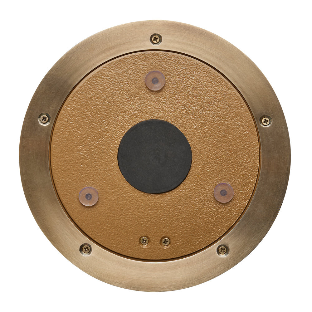 Bulkhead Outdoor & Bathroom Round Wall Light in Brass finish - Back
