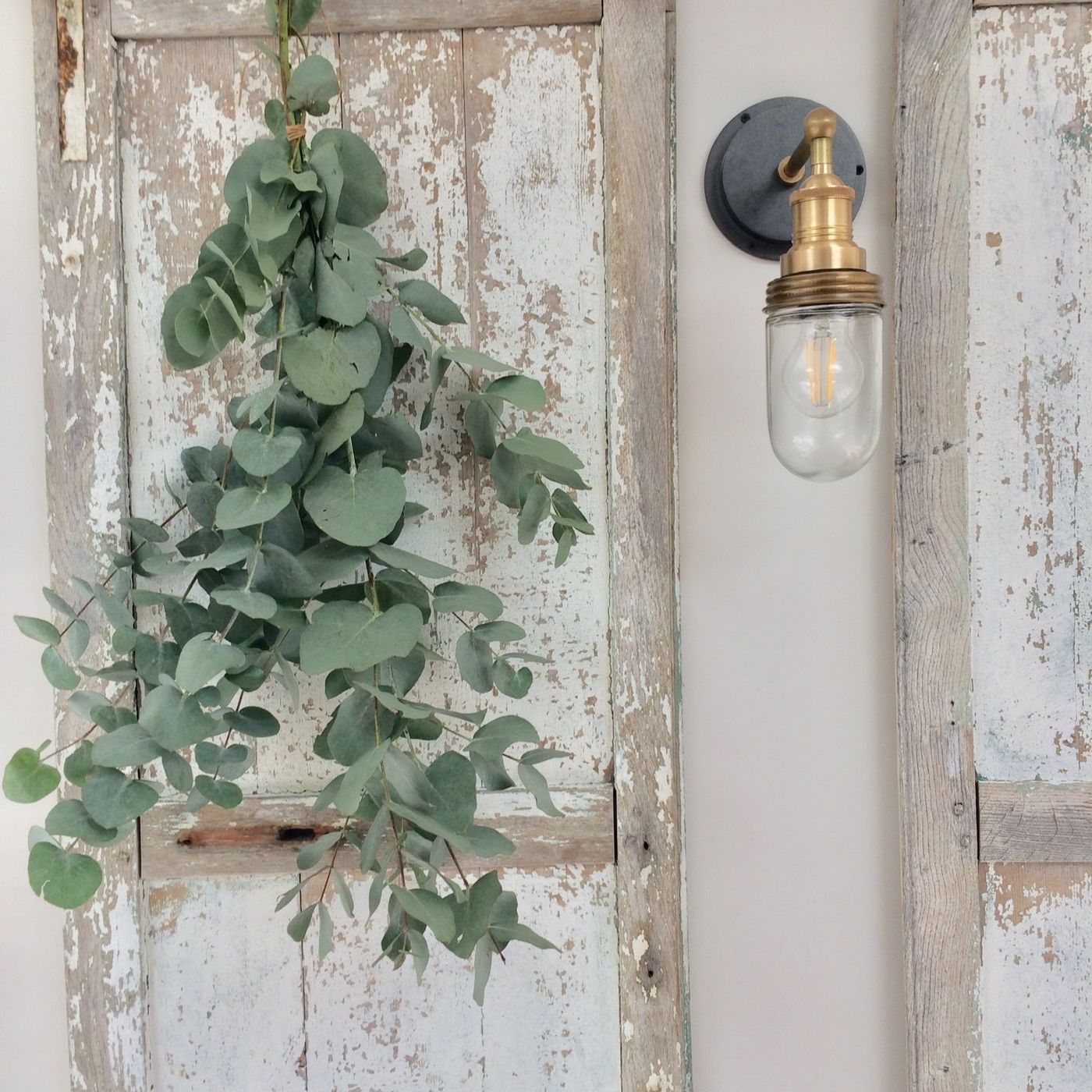 Brass Holder Brass Ring Brooklyn Outdoor & Bathroom Wall Light - BR-IP65-WL-BH-BR