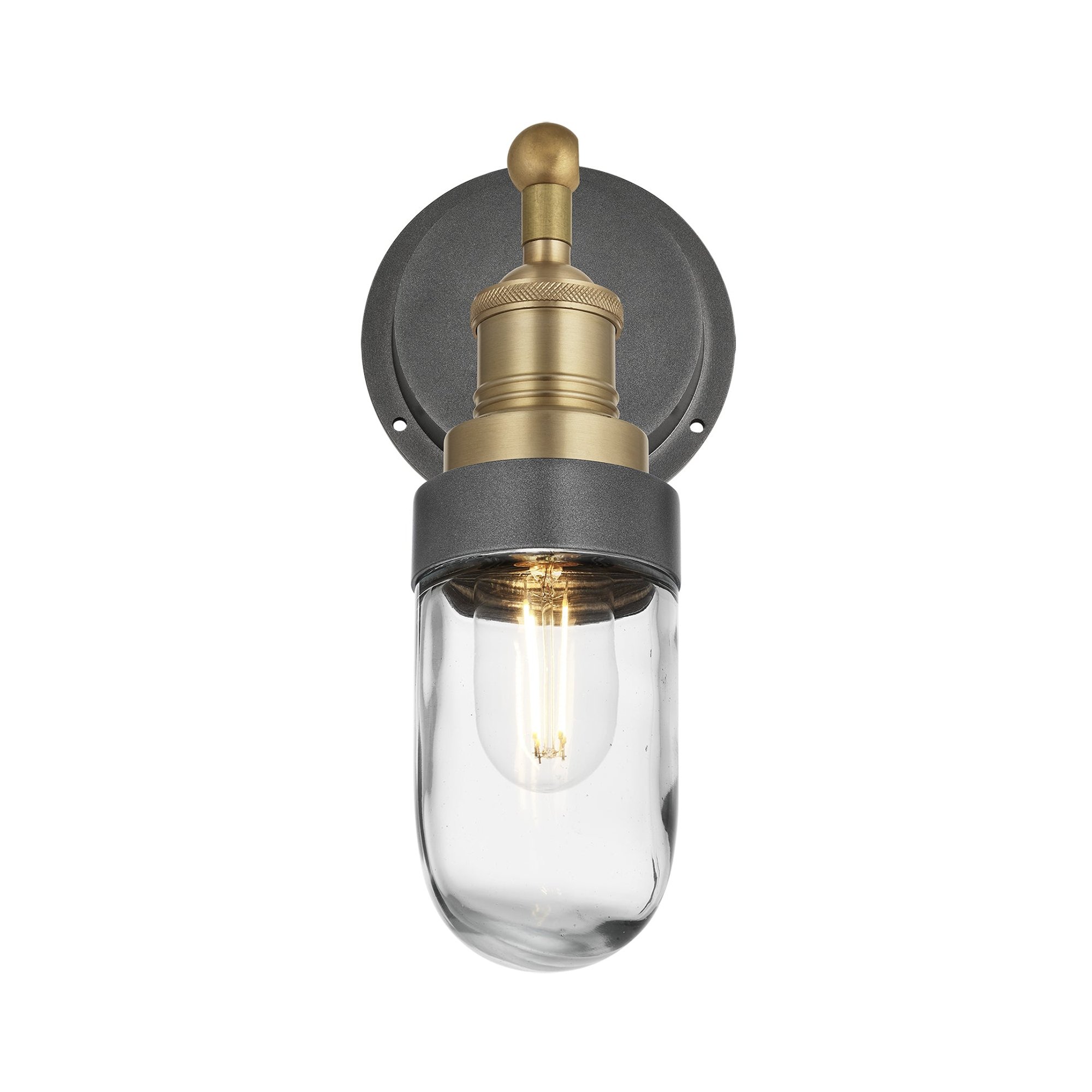 Brass Holder Pewter Ring Brooklyn Outdoor & Bathroom Wall Light - BR-IP65-WL-BH-PR