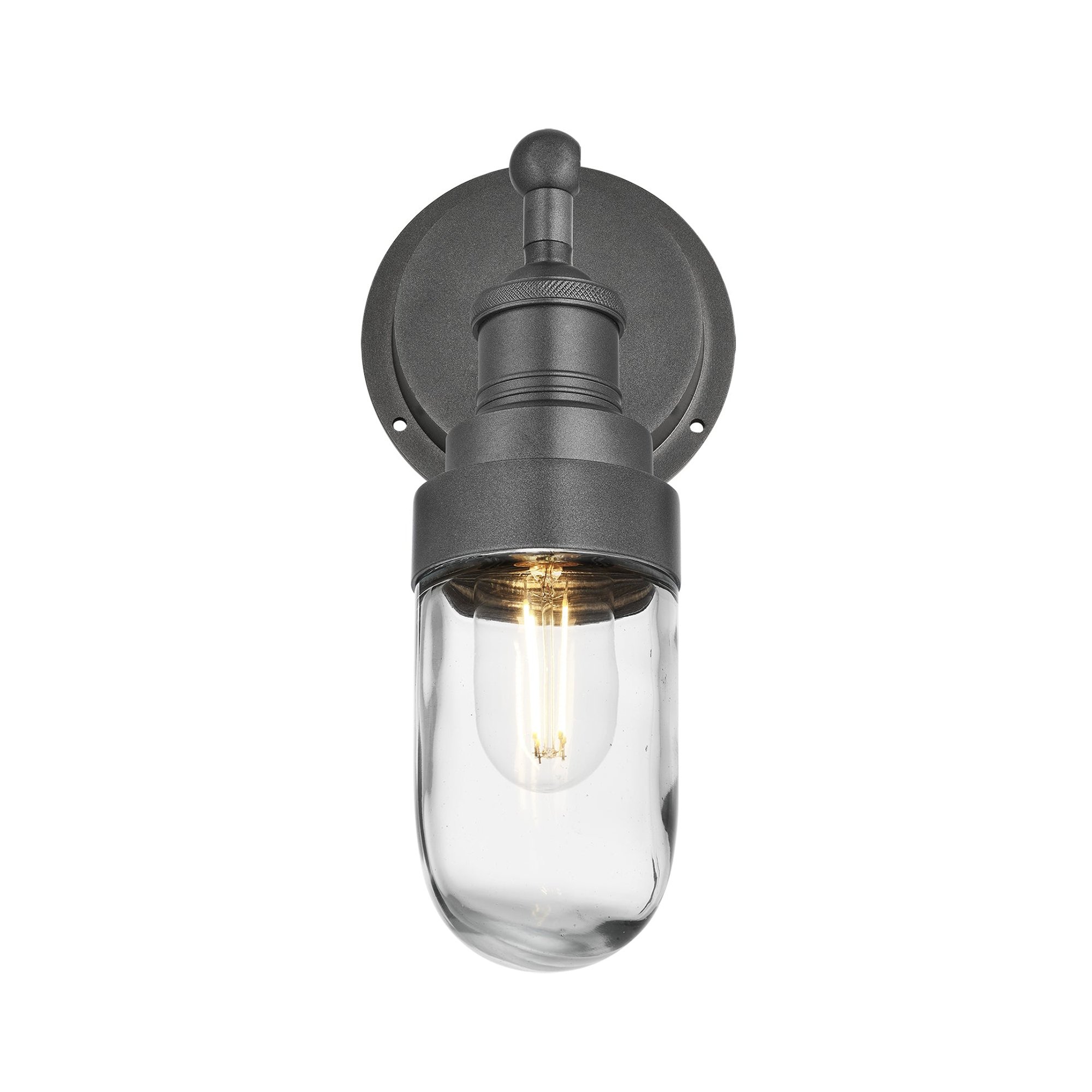 Pewter Holder Pewter Ring Brooklyn Outdoor & Bathroom Wall Light - BR-IP65-WL-PH-PR