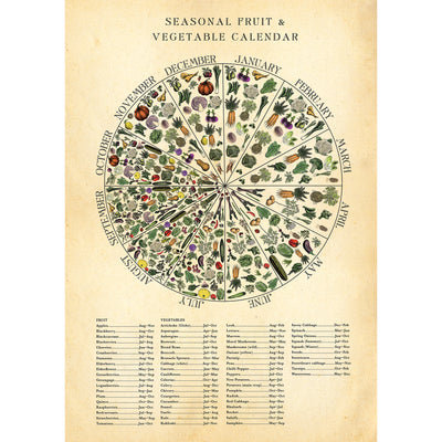 Seasonal Fruit & Vegetable Calendar Poster - Independent Artwork - Industville Lighting UK