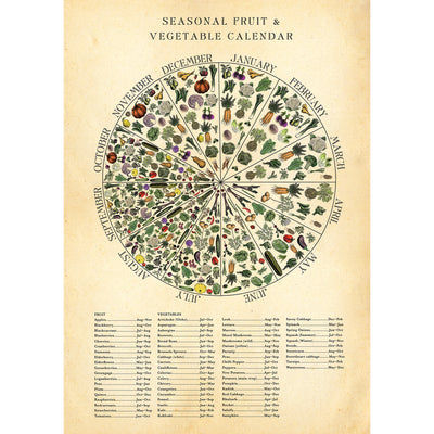 Seasonal Fruit & Vegetable Calendar Poster