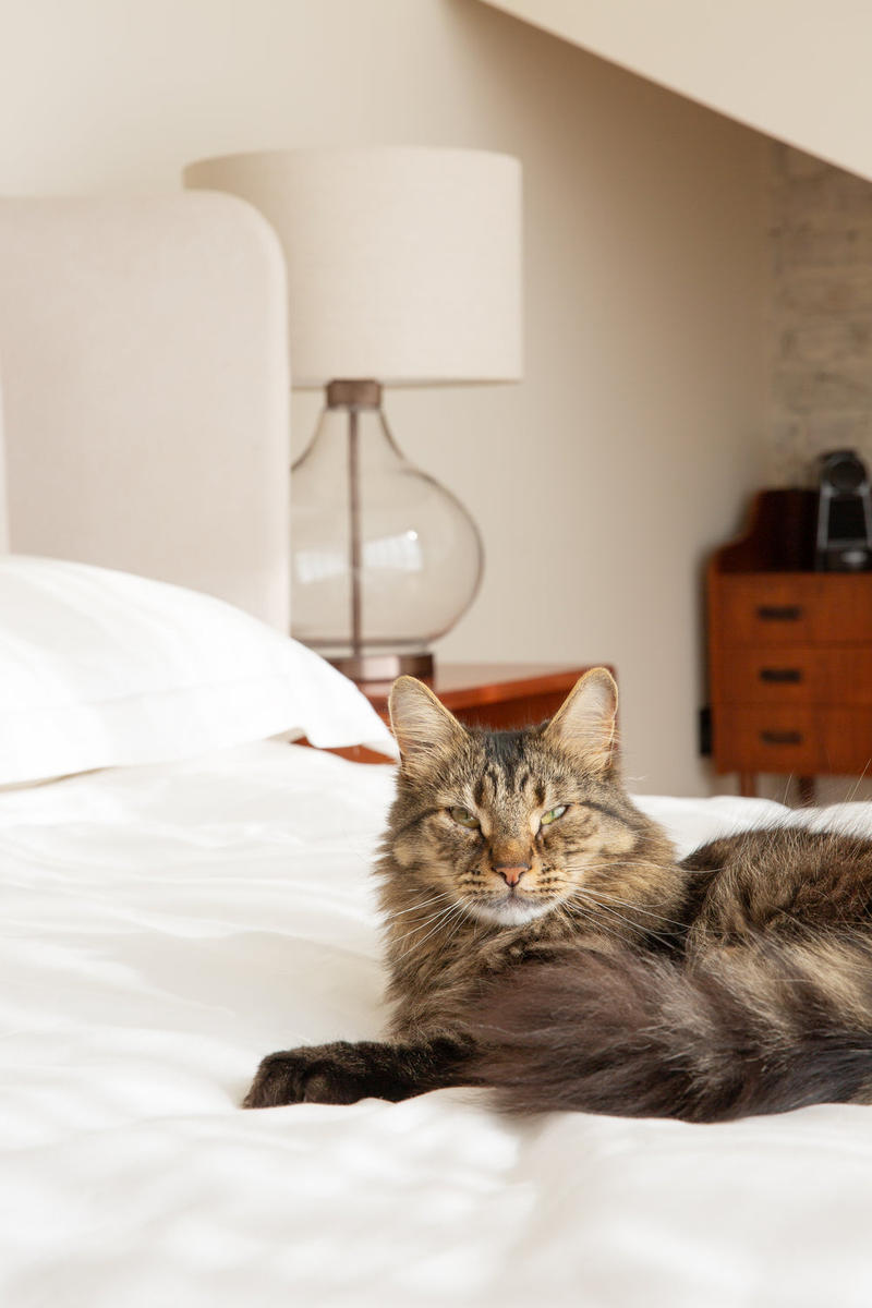 Knurled Glass Drop Table Lamp - Bronze