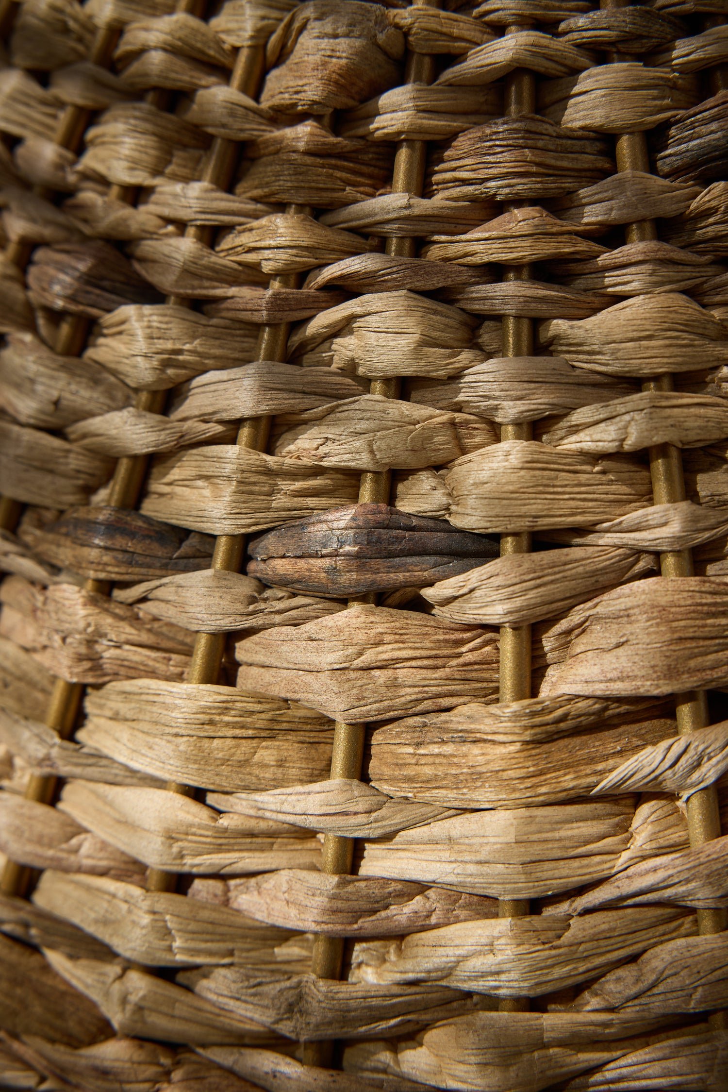 Sea Grass Natural Fibre Dome Pendant Light | Order Online