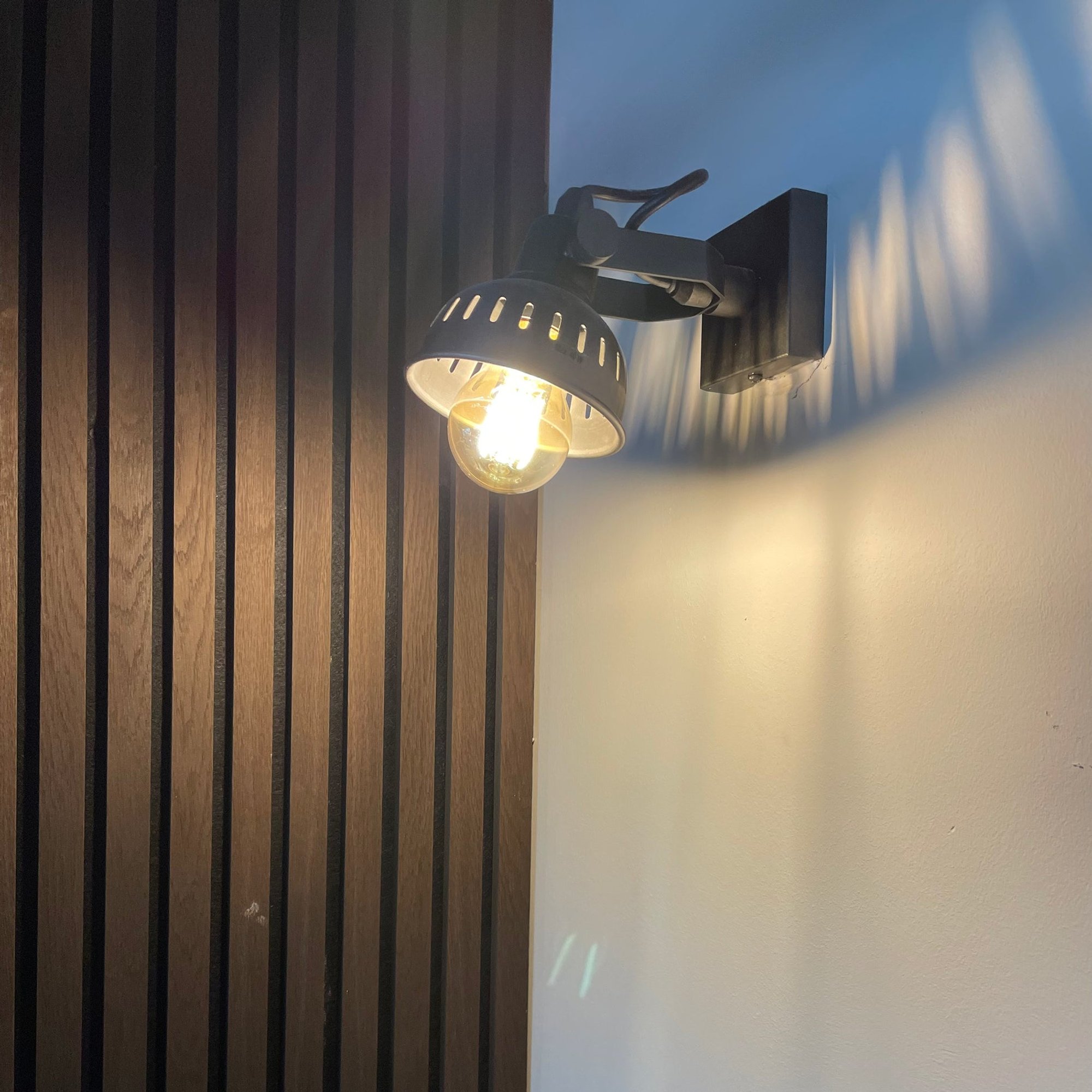 Single Swivel Spotlight Wall Light Pewter