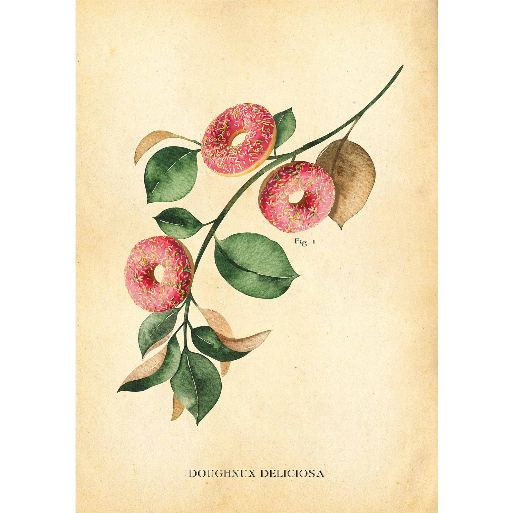 Botanical Doughnut Print Hannah Turpin