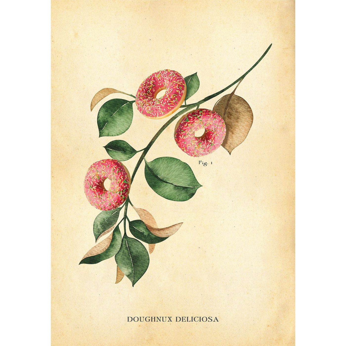 Botanical Doughnut Print Hannah Turpin
