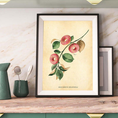 Botanical Doughnut Print Hannah Turpin