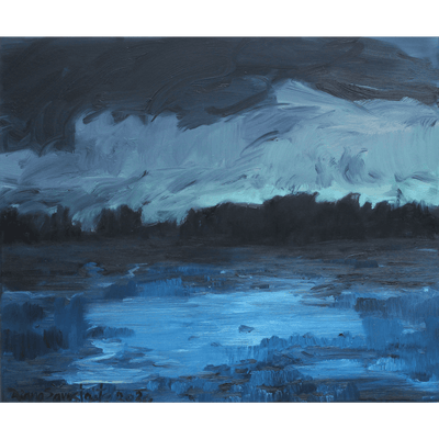 Reflections At Night Diana Savostaite