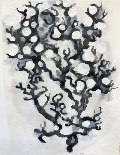 Money Tree (68) Andrew Ekins 1