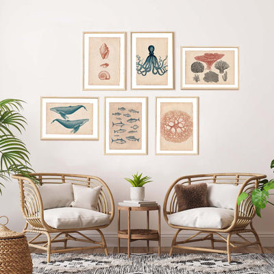 Marine Gallery Wall Collection / Natural History Set (Set of 6) - Independent Artwork - Industville Lighting UK