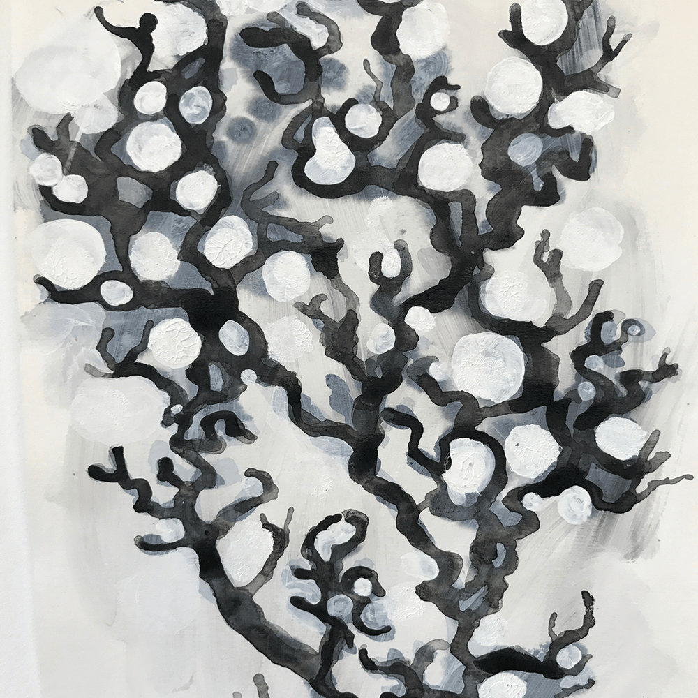 Money Tree (68) Andrew Ekins 1