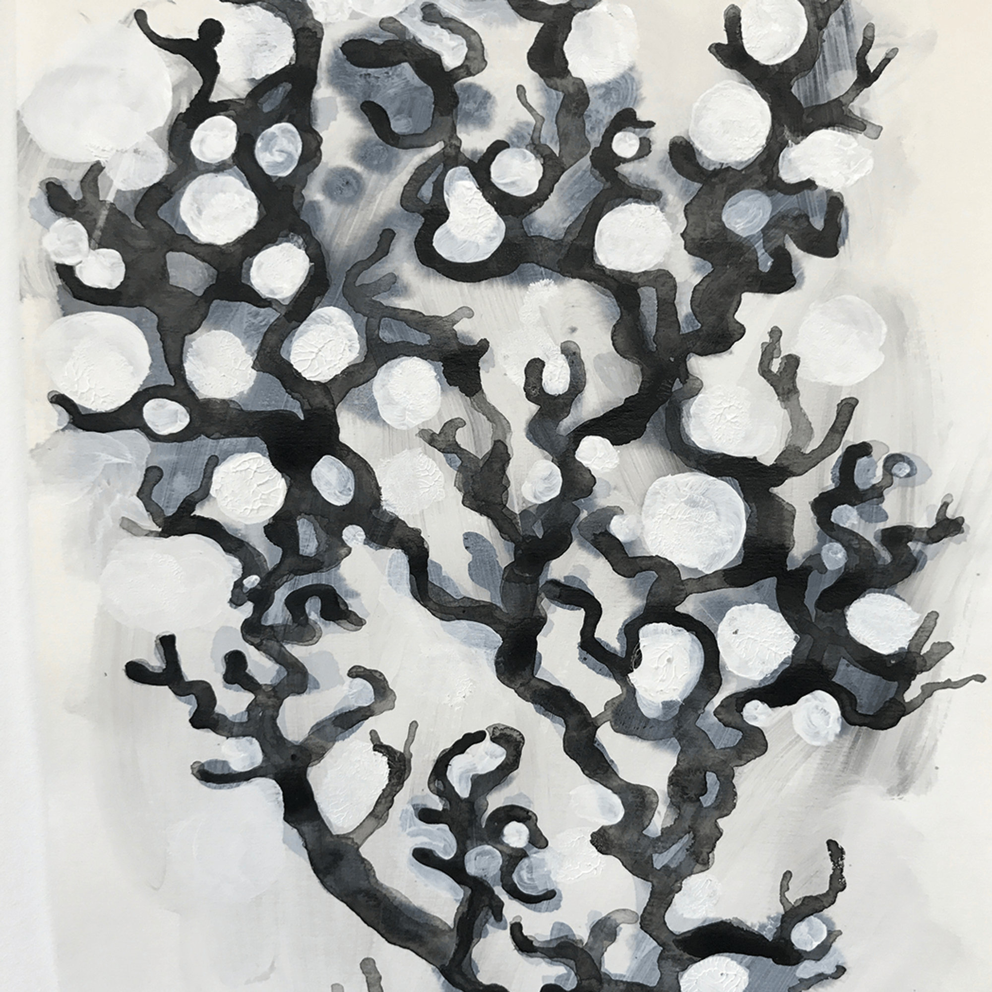 Money Tree (68) Andrew Ekins 1