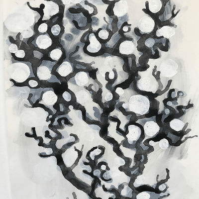 Money Tree (68) Andrew Ekins 1