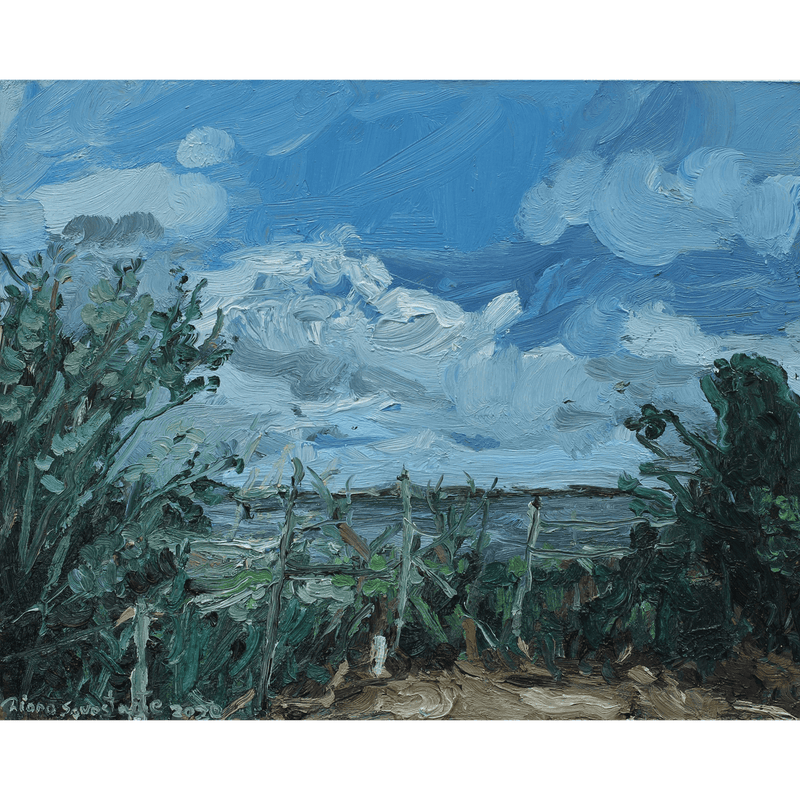 Riverside Walk Diana Savostaite