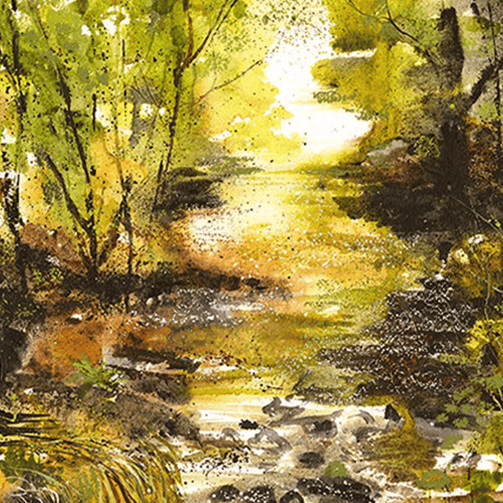 Sun Gleaming On a Bubbling Brook Liz Rogers 1