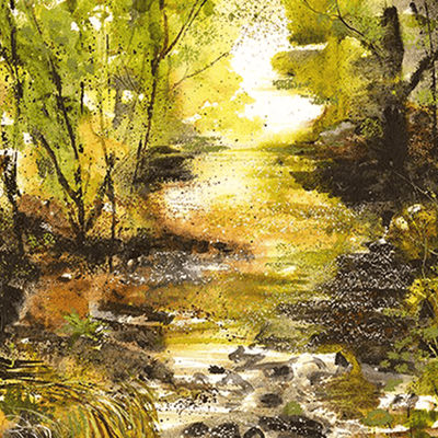 Sun Gleaming On a Bubbling Brook Liz Rogers 1