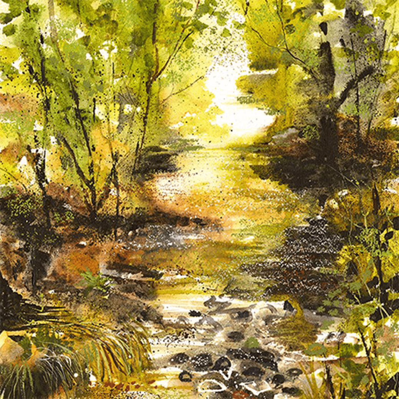 Sun Gleaming On a Bubbling Brook Liz Rogers 1
